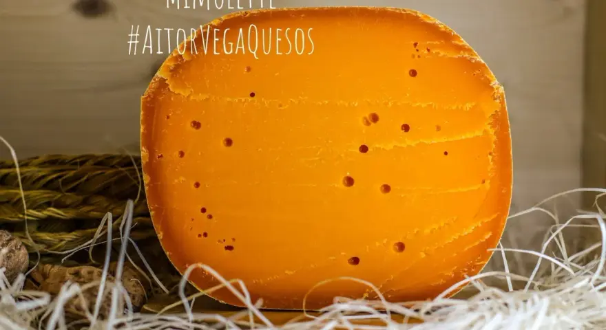 Un trozo de queso Mimolette, de color naranja intenso y con pequeños agujeros, descansa sobre paja. ¡Un queso mimolette peligroso por lo delicioso!