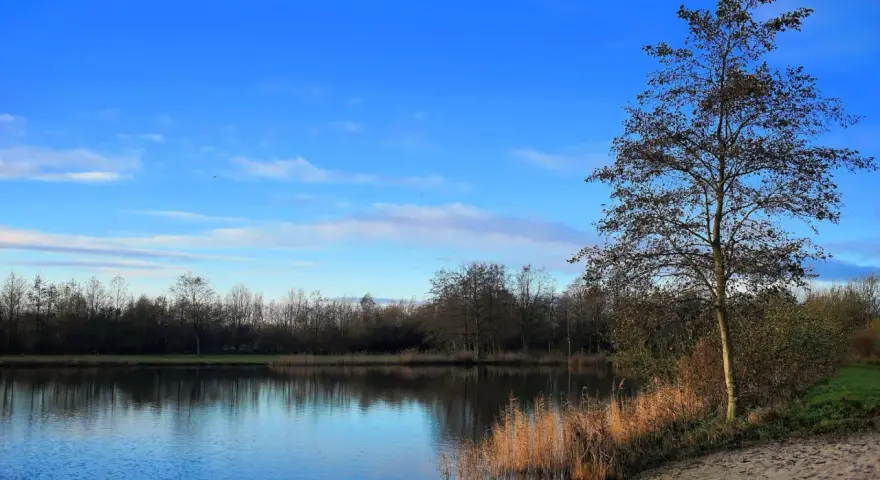 Ein ruhiger See spiegelt den blauen Himmel und die Bäume am Ufer. Am rechten Ufer des Sees in Erlensee Bickenbach steht ein Baum mit wenigen Blättern.