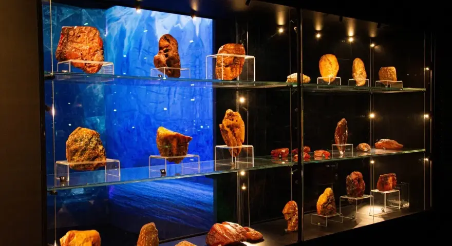 W gdańskim muzeum bursztynu można podziwiać kolekcję bursztynów, od surowych brył po przetworzone formy, prezentowane na szklanych półkach.