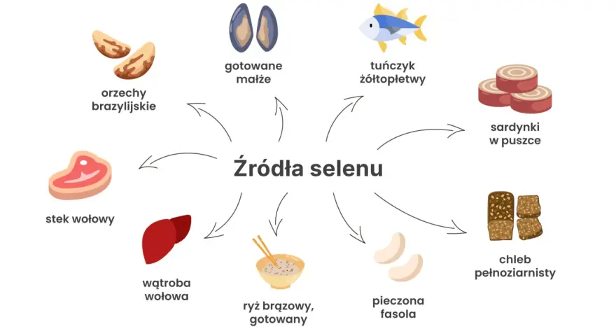 Orzechy brazylijskie, małże, tuńczyk, sardynki, stek wołowy, wątroba, ryż, fasola i chleb pełnoziarnisty to źródła selenu.