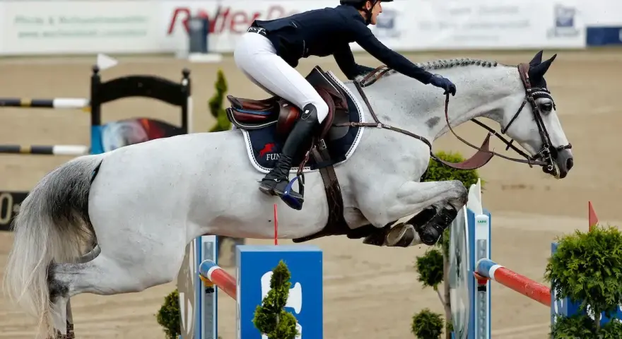 Reiterin mit weißem Pferd überwindet Hindernis. Ein Moment aus dem Springreiten, der die Dynamik der Klassen zeigt.