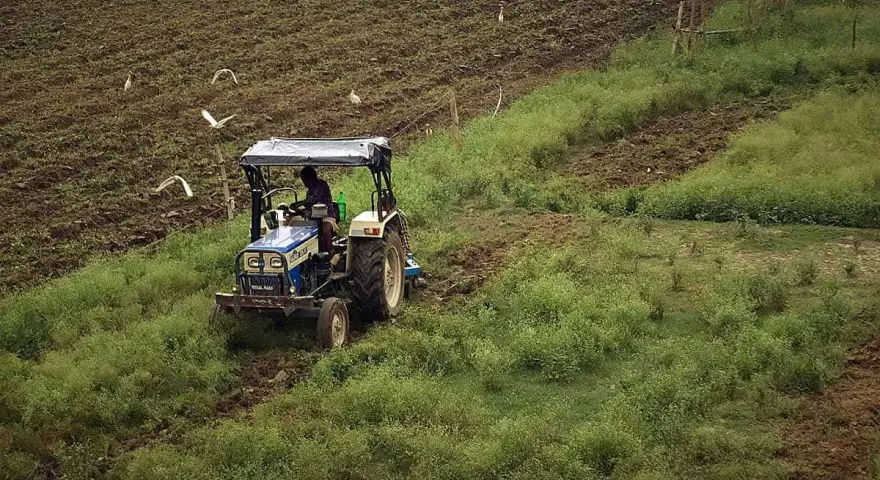 Traktor z kultywatorem pracuje na polu, spulchniając ziemię. Ptaki krążą nad pracującym rolnikiem.
