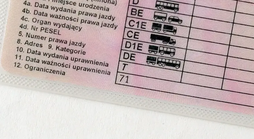 Fragment polskiego prawa jazdy z widocznymi polami: "Ograniczenia" i kodem "71", wskazującym na specyficzne **prawo jazdy ograniczenia 71**.