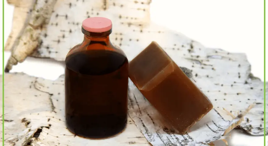 Brązowa buteleczka z płynem i kostka mydła na tle kory brzozowej. To naturalne produkty, a dziegieć co to? To właśnie taki ciemny, aromatyczny produkt.