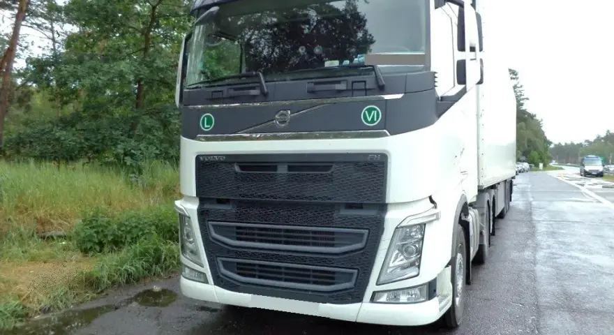 Transport ryb z Norwegii do Polski: 15 kg legalnie? Sprawdź!