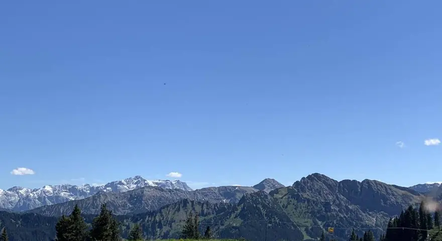 Grüne Wiesen und Wälder vor einer beeindruckenden Bergkulisse mit schneebedeckten Gipfeln. Ein herrlicher Blick von der **hohen Bleick**.