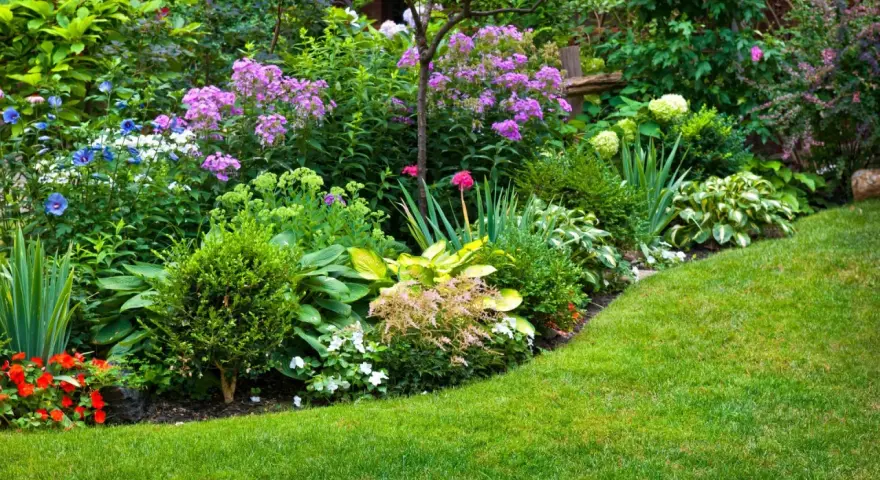 Jardín exuberante con variedad de plantas que aguantan el sol, flores moradas, azules y rojas, césped verde y arbustos bien cuidados.