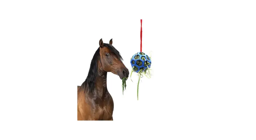 Un cheval mange de l'herbe d'une balle suspendue, un concept pour fabriquer un distributeur automatique de nourriture pour chevaux.