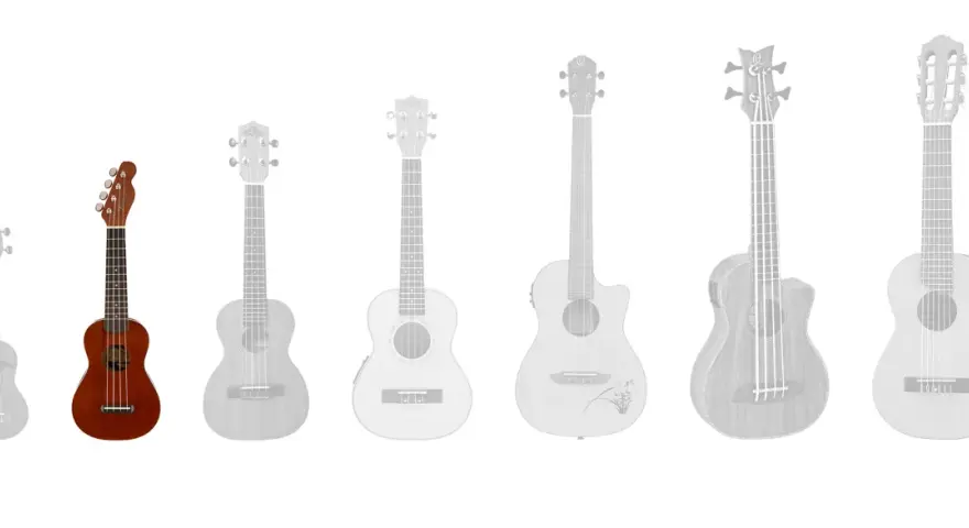 Verschiedene ukulele arten, von klein bis groß, mit einer braunen Ukulele im Vordergrund.