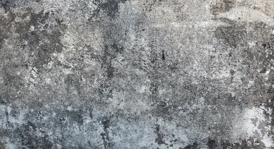 Texture d'une vieille dalle de béton, marquée par le temps et le salpêtre.
