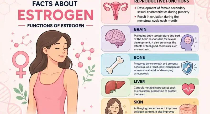 Ilustracja przedstawia funkcje estrogenu, kluczowego hormonu dla zdrowia kobiet, wpływając na układ rozrodczy, mózg, kości, wątrobę i skórę.