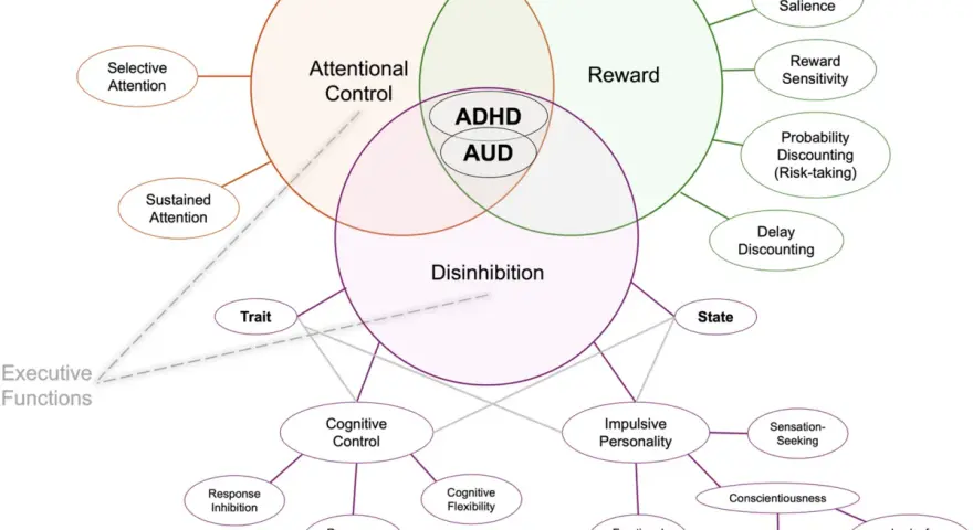 Wykres pokazuje związek między ADHD, alkoholem (AUD), kontrolą uwagi, nagrodą i zahamowaniem.