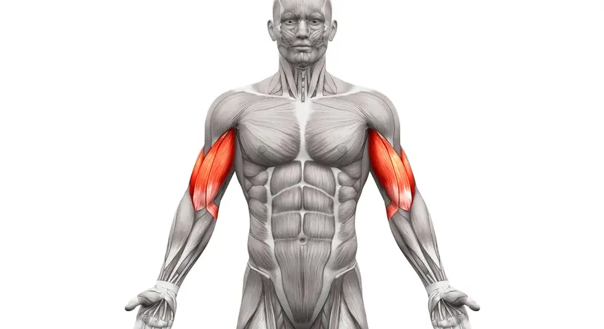 Jak rozciągać biceps? Uniknij 5 błędów i zyskaj siłę!