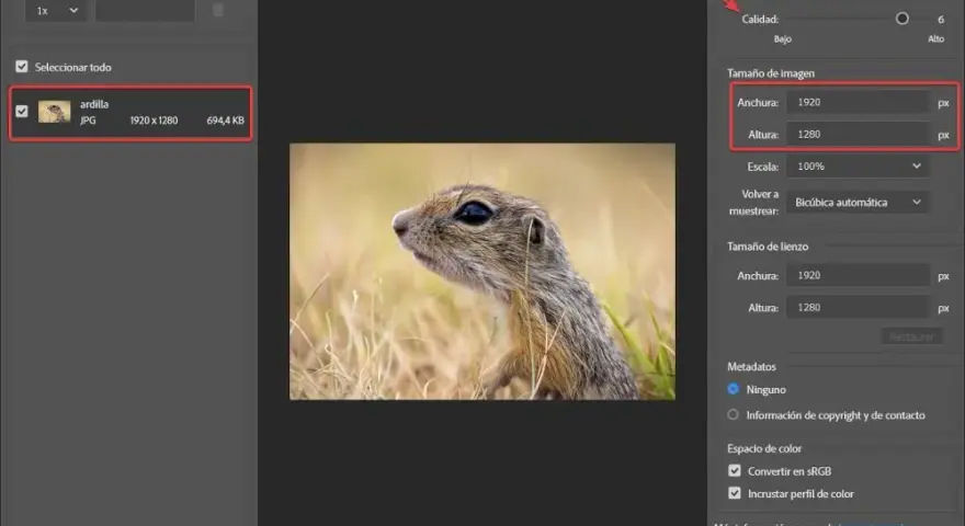 Jak zmniejszyć obraz w Photoshopie bez utraty jakości i czasu