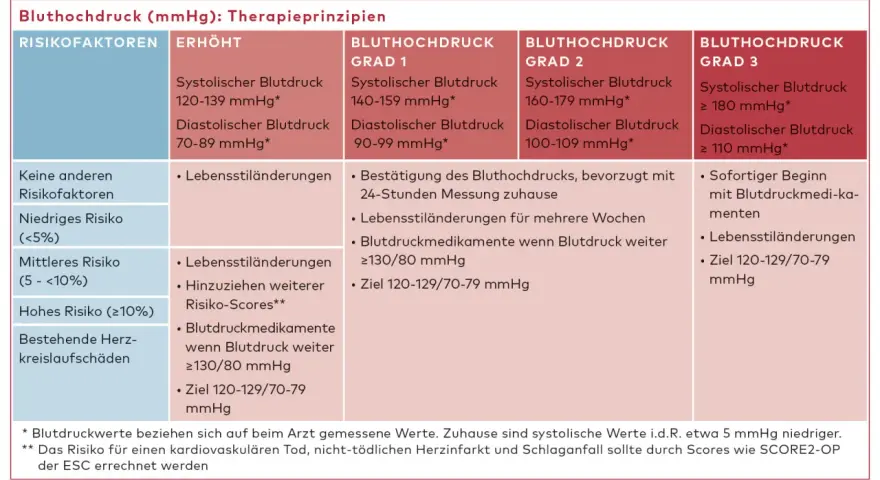 Tabelle mit Blutdruckwerten, Risikofaktoren und Therapieprinzipien für Bluthochdruck.