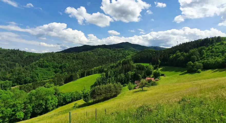 Grüne Hügel und Wälder am Hausacher Bergsteig unter blauem Himmel mit weißen Wolken. Ein Bauernhof mit roten Dächern liegt eingebettet in der Landschaft.
