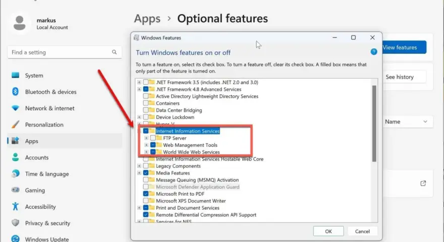 Windows-Einstellungen: "Internet Information Services" (IIS) wird als optionales Feature aktiviert, inklusive FTP und Web-Diensten.