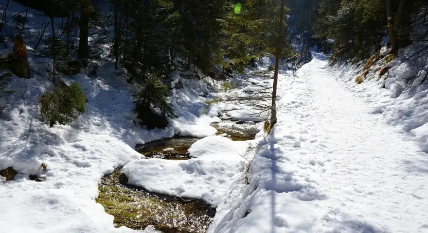 Śnieżna ścieżka wzdłuż strumienia w **dolinie białego** lasu. Słońce przebija się przez drzewa, tworząc refleksy na wodzie.