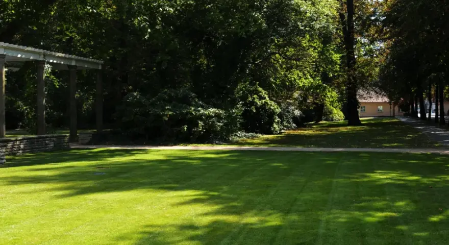 Ein sonniger Tag im Schlosspark Pankow. Ein gepflegter Rasen wird von Schatten durchbrochen, daneben ein Weg und eine Allee.