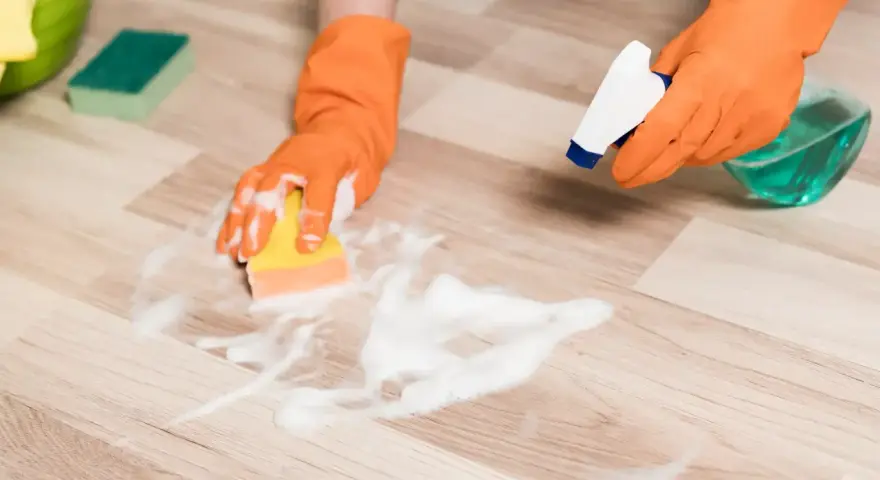 Hands in orange gloves spray cleaner and scrub a vinyl plank floor with a sponge, showing how to clean vinyl plank flooring.