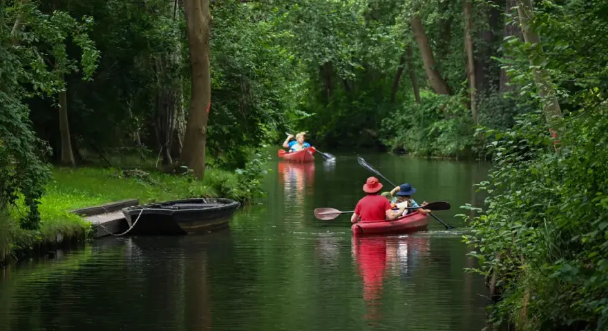 Zwei Kanus auf einem Fluss, umgeben von grünen Bäumen.
