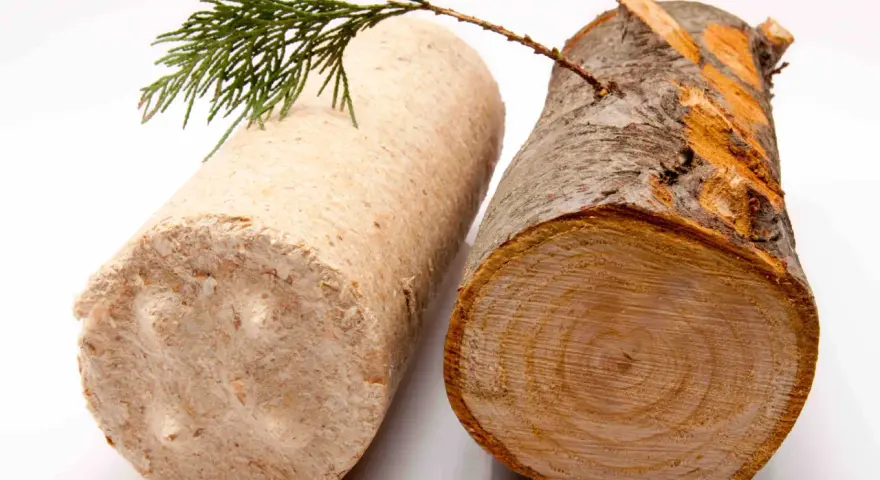 Dwa rodzaje opału: brykiet drzewny i drewno opałowe. Gałązka iglaka spoczywa na brykiecie, symbolizując naturę.