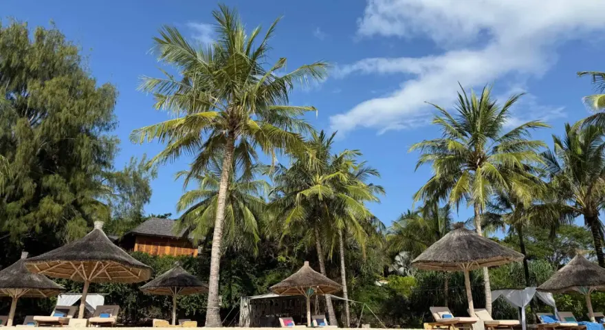 Plaża na Zanzibarze, palmy, leżaki pod strzechą. Wiza na lotnisku Zanzibar już za nami, czas na relaks.