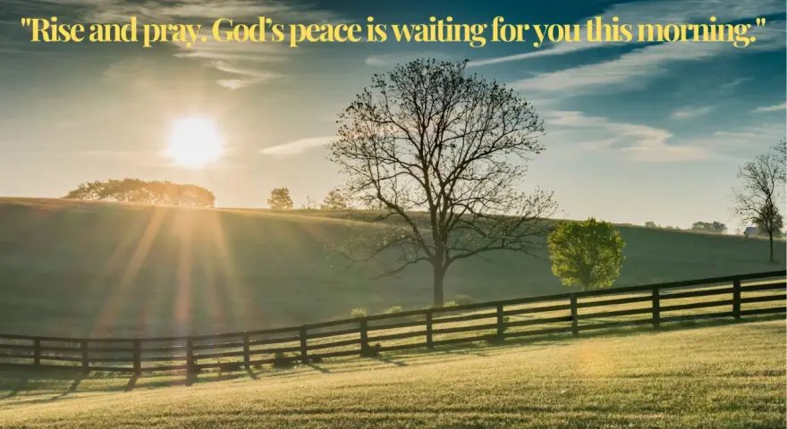 Sunrise over a grassy hill with a fence. The sun's rays shine through a bare tree, inviting the first prayer of the day.