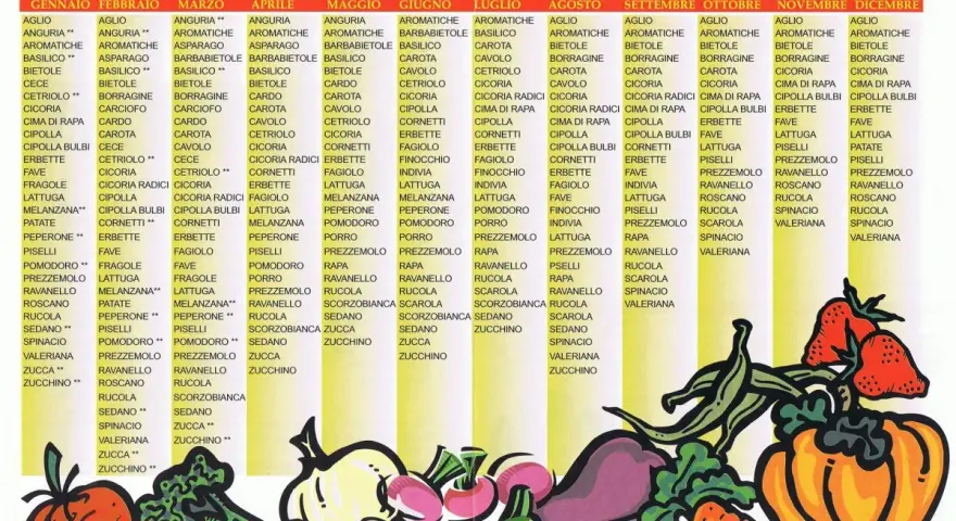 Calendario semine ortaggi: guida mensile per la semina di verdure come pomodori, zucchine e insalate.