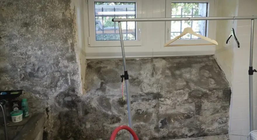 Feuchtigkeit im Keller selbst beseitigen: Schimmel und Salzausblühungen an der Wand erfordern Maßnahmen.