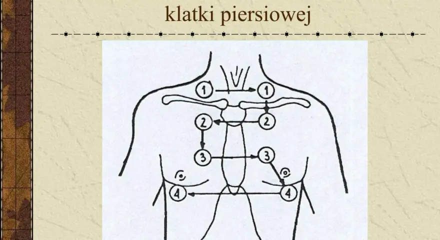 Schemat kolejności osłuchiwania płuc z przodu klatki piersiowej.