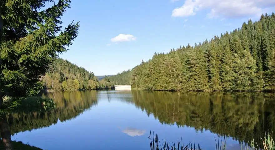 Idyllischer **Badesee Grotegaste** umgeben von dichten Wäldern, die sich im ruhigen Wasser spiegeln. Ein perfekter Ort für Erholung.