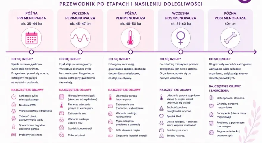 Przewodnik po etapach menopauzy: od premenopauzy do późnej postmenopauzy, opisujący zmiany i objawy. Dowiedz się, ile trwa menopauza i jak się zmienia.