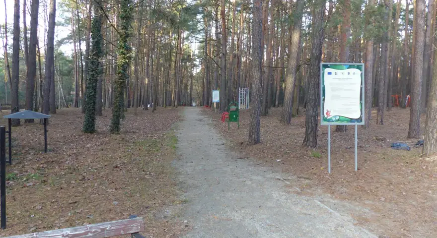 Ścieżka w lesie, pełna jesiennych liści, prowadzi przez sosnowy las. W oddali widać siłownię plenerową i ławkę. To idealne miejsce na spacer w sokolniki las.
