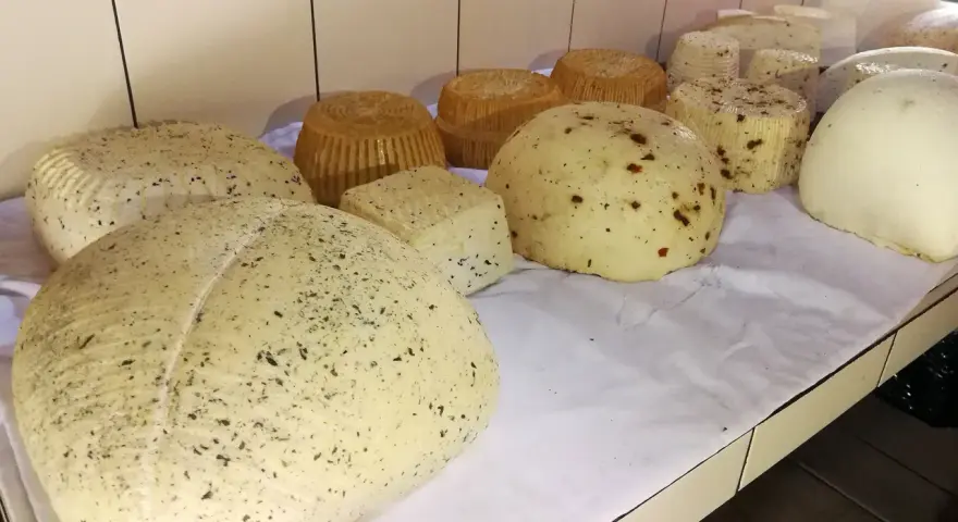 Różne rodzaje serów owczych, niektóre z ziołami, inne z papryczką, prezentowane na białym obrusie.