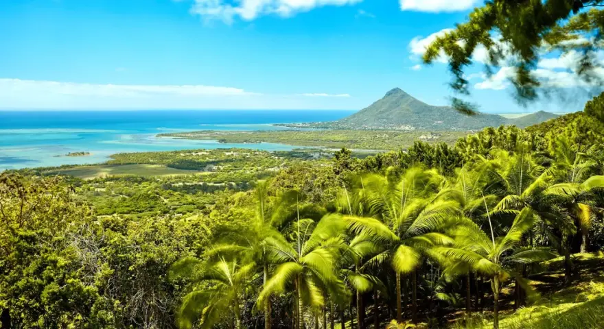 Rajski widok na Mauritius z palmami i górą Le Morne. Idealne miejsce na wakacje, sprawdź atrakcyjne ceny!