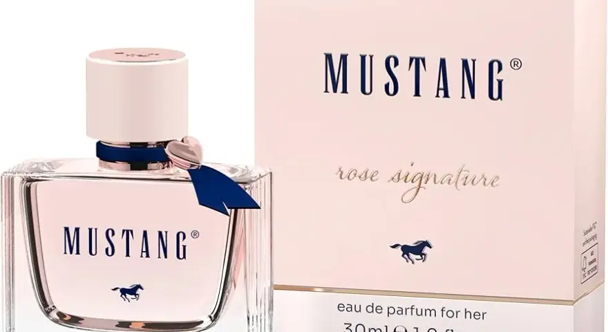 Die besten Damenparfums: Finden Sie Ihren perfekten Signature-Duft