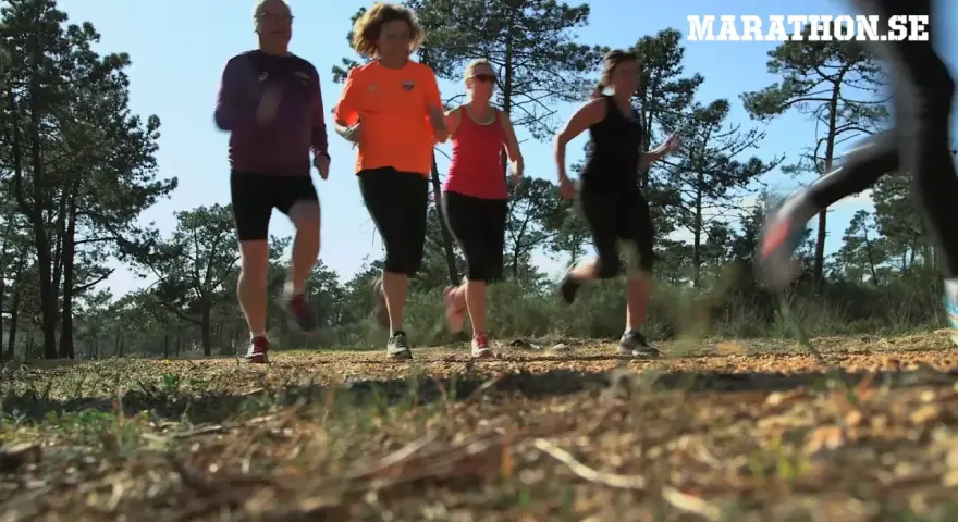 Fyra löpare i skogen. Frågan är hur ofta ska man springa för att nå sina mål? Marathon.se ger svaren.