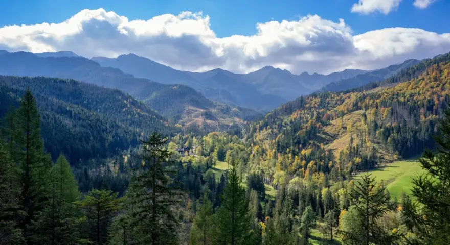 Jesienne kolory Tatr. Łatwe szczyty Tatry w jesiennej szacie, zalesione zbocza i błękitne niebo z chmurami.