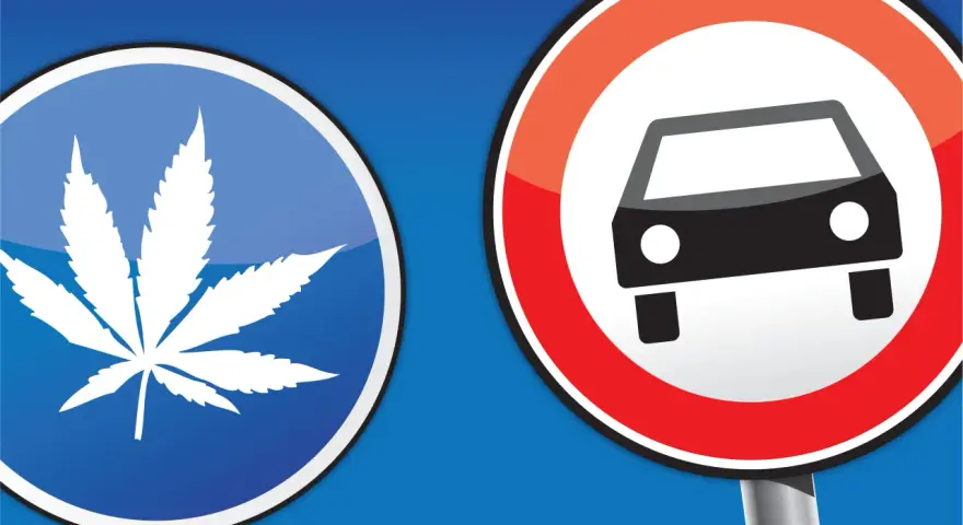 Verkehrsschilder: Ein blaues Schild mit einem Cannabisblatt und ein rotes Schild mit einem Auto. Vorsicht vor Cannabis am Steuer!