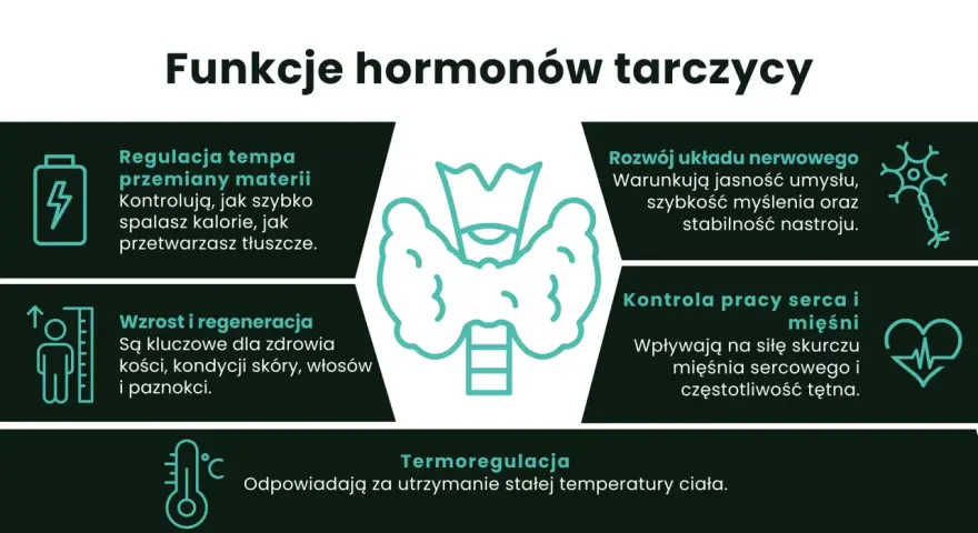 Grafika przedstawia tarczycę i ikony symbolizujące jej funkcje: metabolizm, układ nerwowy, wzrost, serce i termoregulację.