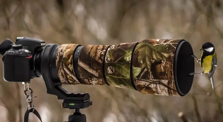 Najlepsze obiektywy do Nikon D3300, które poprawią Twoje zdjęcia
