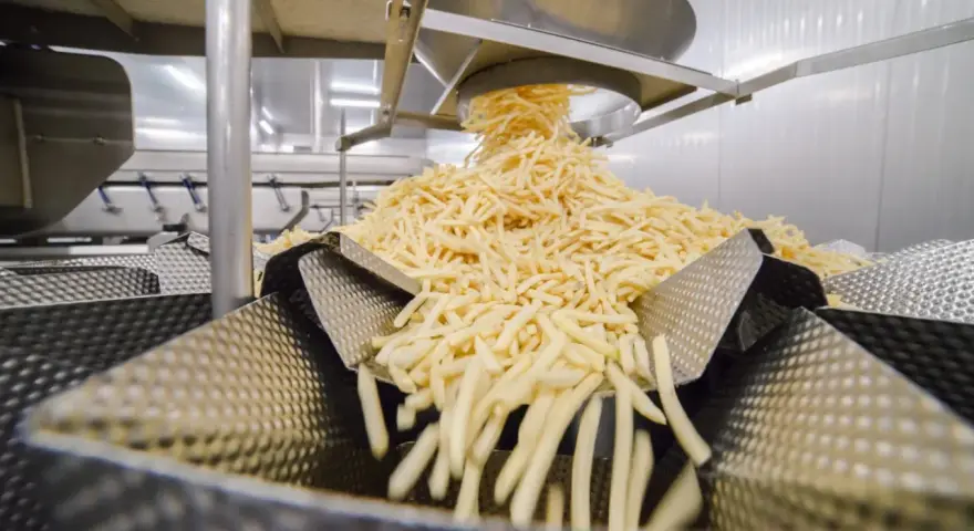 Frytki McDonald's w Polsce: Na czym są smażone? Wszystko jasne!