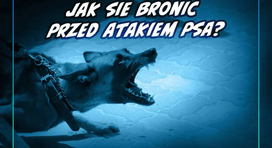 Jak bronić się przed psem? Unikaj ataku, działaj w kryzysie!