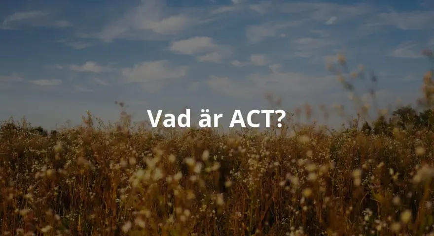 Texten "Vad är ACT?" visas över ett fält med högt gräs och blommor under en molnig himmel. ACT-metoden kan hjälpa dig att navigera i livet.