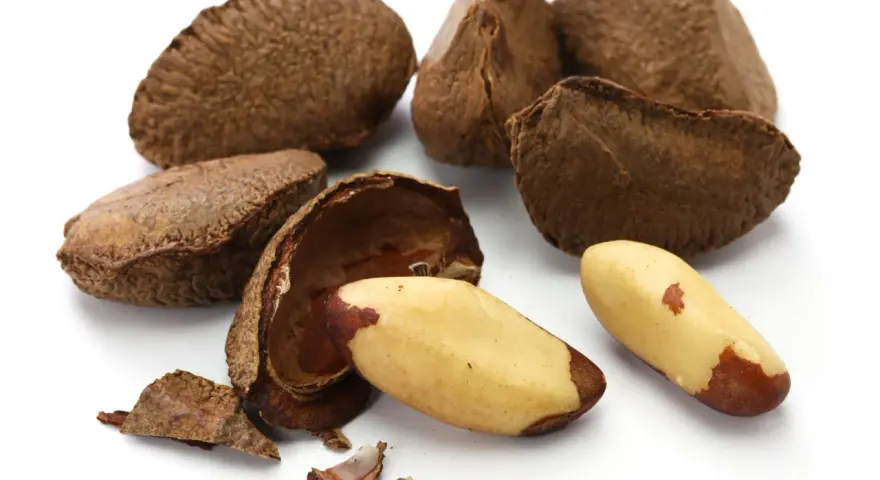 Noix du Brésil : découvrez les noix du Brésil et leurs bienfaits pour la santé. Une coque ouverte révèle des amandes dorées, prêtes à être dégustées.