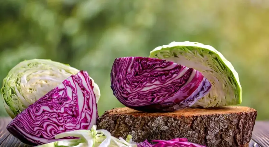 Cavolo cappuccio rosso e bianco tagliati a metà, con foglie sminuzzate.