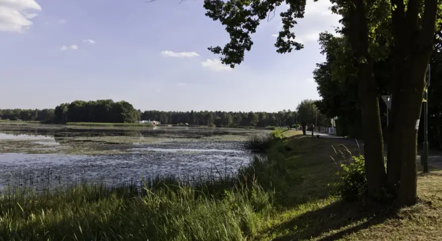 Spokojny zalew Zielona Kalety otoczony lasem, z piaszczystą ścieżką i drzewami wzdłuż brzegu.