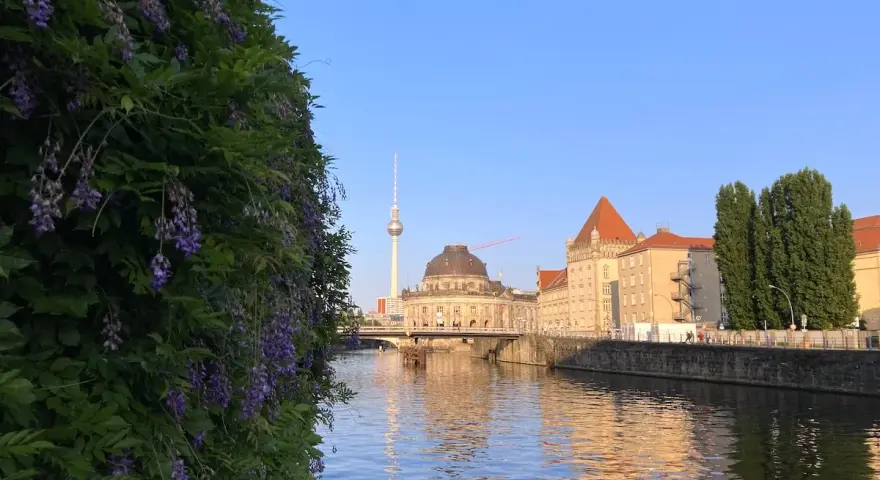 Ein sonniger Sonntag in Berlin. Lila Glyzinien ranken sich vor der Spree, im Hintergrund der Fernsehturm und historische Gebäude.
