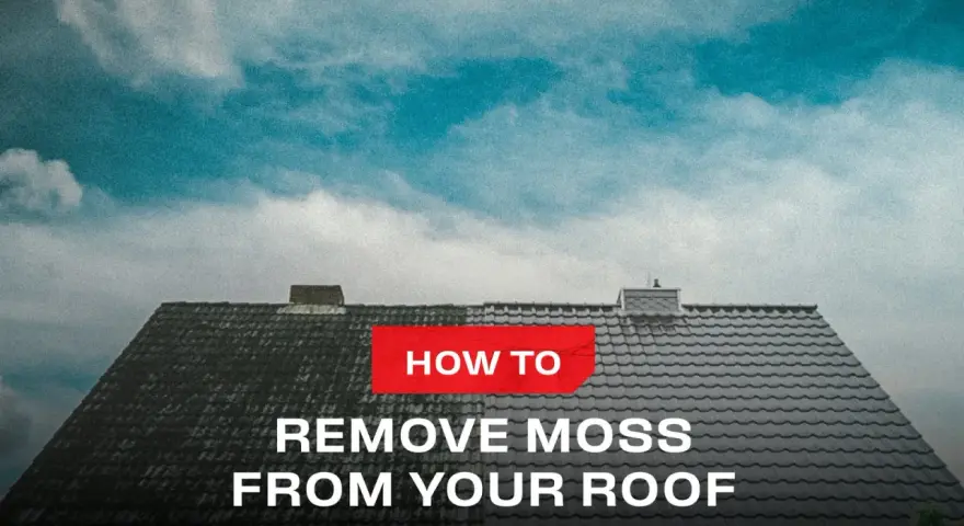 A split roof shows the difference before and after learning how to remove moss from your roof.